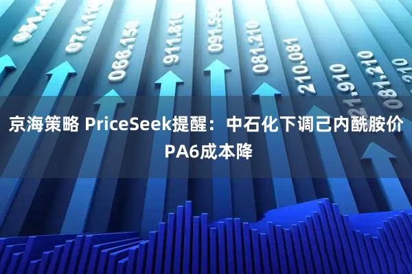 京海策略 PriceSeek提醒：中石化下调己内酰胺价 PA6成本降